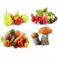 Фрукты, овощи, ягоды, грибы