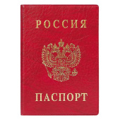 Обложка для паспорта ДПС из ПВХ красного цвета (2203.В-102)