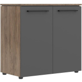 Шкаф для документов Morris Trend MLC 85.1 (антрацит/кария пальмира, 854х423х821 мм)