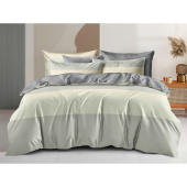Комплект постельного белья Cleo Satin Luxe 1.5-спальное сатин 70x70 см  (CL15/737-SL)