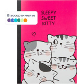 Тетрадь общая M&G So Many Cats B5 60 листов в клетку на склейке