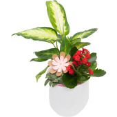 Композиция Grinoteka в кашпо (Smarts-022)