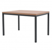 Стол обеденный Итан СТ19 (прямоуголный, дуб гоный/черный, 1200х800х748 мм)