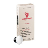 Кофе в капсулах для кофемашин Hausbrandt Nespresso Intenso (10 штук по 5 г) купить в интернет-магазине товаров для офиса и дома ТопГрад с доставкой