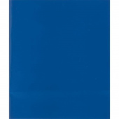 Тетрадь общая А5 48 листов в клетку на скрепке (обложка синяя)