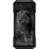 Смартфон Ulefone Armor 27 Pro 256 ГБ черный (6975326662840)