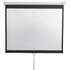 Экран для проектора Digis 172x130 (DSOD-4302) купить в интернет-магазине товаров для офиса и дома ТопГрад с доставкой