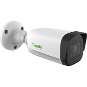 IP-камера Tiandy TC-C35US I8/A/E/Y/M/2.8-12mm/V4.0