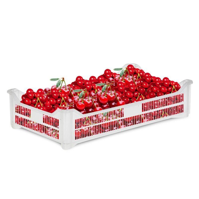 Сокол для ягодки. Ящик ягодный перфорированный 600x400x135мм. Ящик (лоток) фруктовый из ПНД 500x300x264 мм. Лоток ягодный 500. Лоток для ягодный 18х11.