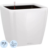 Кашпо с автополивом Lechuza Quadro LS 35 21.5 л с внутренней вставкой 17  л белый (35.5x32.5x35.5 см)