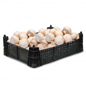 Ящик (лоток) грибной полипропиленовый 400x300x110 мм черный