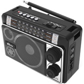 Радиоприемник Ritmix RPR-171 черный (15119542)