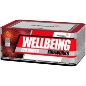 Батарея салютов Maxsem Wellbeing Fireworks 120 залпов (MC127)
