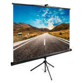 Экран для проектора Cactus TriExpert CS-PSTE-160x160-BK 160x160
