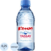 Вода питьевая Tassay Комус негазированная 0.25 л купить в интернет-магазине товаров для офиса и дома ТопГрад с доставкой