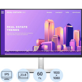 Монитор 23.8 Dell P2422H (210-AZYX)