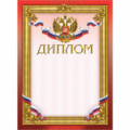 Диплом А4 230 г/кв.м 10 штук в упаковке (бордовая рамка, герб, триколор)