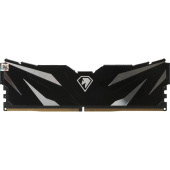 Модуль памяти Netac NTSWD5P56SP-16K DDR5 16 ГБ Модуль памяти Netac NTSWD5P56SP-16K DDR5 16 ГБ