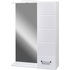 Зеркало Вега 60 с подсветкой (600х700 мм)