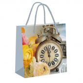 Пакет подарочный ламинированный Время расцвета (20x20x16 см)