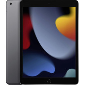 Планшет Apple iPad 10.2 64 ГБ Wi-Fi + Cellular серый (MK663LL/A)