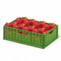 Ящики для овощей, фруктов и ягод