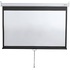 Экран для проектора Digis 265x149 (DSOD-16906MW)