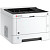Принтер лазерный Kyocera Ecosys P2235dn (1102RV3NL0)