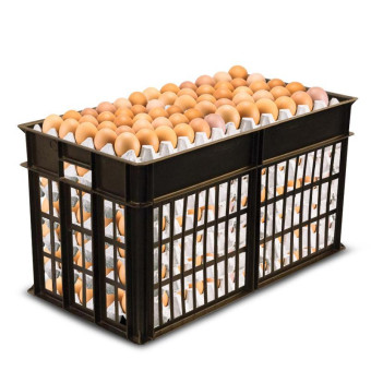 Ящик (лоток) для яиц из ПНД 660х340х360 мм черный