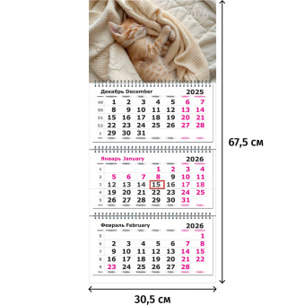 Календарь настенный 3-х блочный 2026 Котёнок 30.5x67.5 см