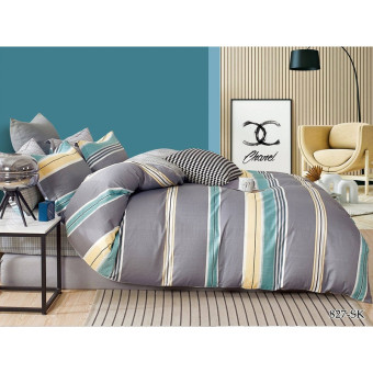 Постельное белье Cleo 31/827-SK (евро, сатин)