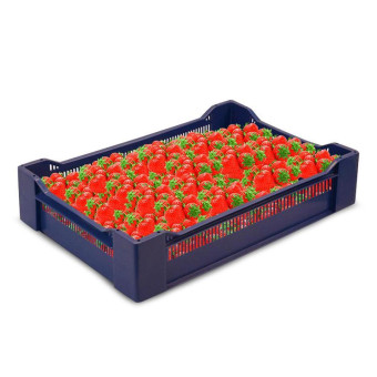 Ящик (лоток) ягодный из ПНД 600x400x135 мм синий