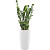 Растение Замиокулькас 110 см в кашпо белого цвета D32 см