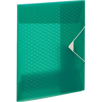 Папка на резинке Esselte Colour'Ice А4 8 мм пластиковая до 150 листов зеленая (толщина обложки 0.5 мм)