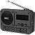Радиоприемник Ritmix RPR-010 серый (80003812)