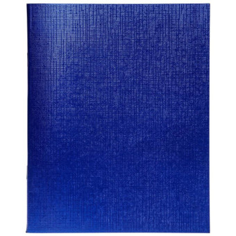 Бизнес-тетрадь Hatber Melallic A5 48 листов синяя в клетку на скрепках (148x210 мм)