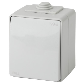 Переключатель одноклавишный Эра Эксперт проходной 10АХ IP65 открытого  монтажа серый (11-1603-03)