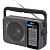 Радиоприемник Ritmix RPR-320 черный (80003916)