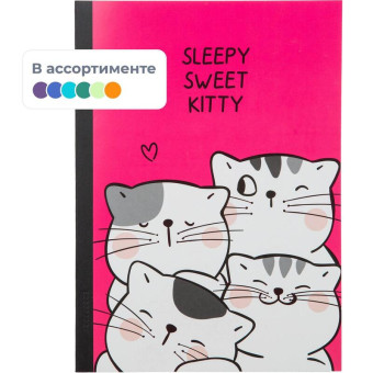 Тетрадь общая M&G So Many Cats B5 60 листов в клетку на склейке