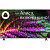 Телевизор 65'' BBK 65LED-8249/UTS2C (B) черный