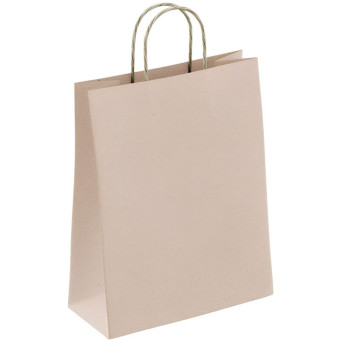 Крафт-пакет бумажный коричневый с кручёными ручками 22х12х25 см 90 г/кв.м био (250 штук в упаковке)