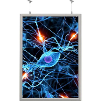 Панель световая (лайтбокс) Frame Led (панель А1+, постер 594x841 мм, двусторонняя)