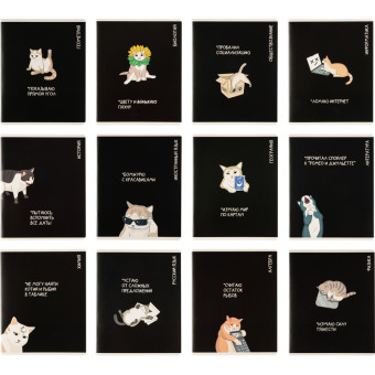 Тетрадь предметная Феникс+ А5+ 48 листов 60 г/кв.м с рисунком  комбинированная УФ-выборочный глянцевый лак (12 штук в упаковке)