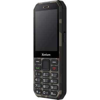 Мобильный телефон Xenium X300 зеленый (XEN-CTX300GC)