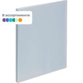 Папка файловая на 20 файлов Deli А4 14 мм (толщина обложки 0.6 мм)