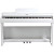 Пианино цифровое Tesler STZ-8810 Royal white (202778)
