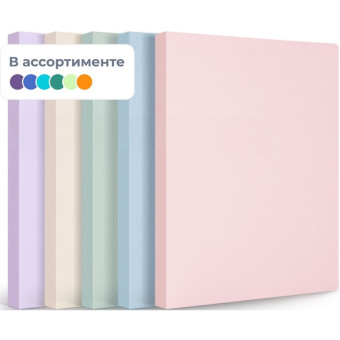 Папка файловая на 40 файлов A4 24 мм (толщина обложки 0,7 мм)