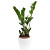 Растение Замиокулькас 40 см в кашпо 1.9 л (РЗ-001.09)