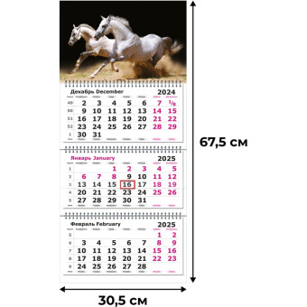 Календарь настенный 3-х блочный 2025 год Лошади (30.5х67.5 см) Календарь настенный 3-х блочный 2025 год Лошади (30.5х67.5 см)