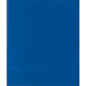 Тетрадь общая А5 48 листов в клетку на скрепке (обложка синяя)